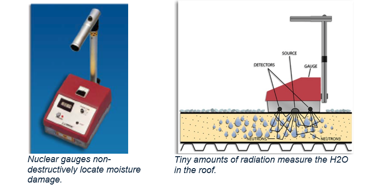 Nuclear roof moisture detection process