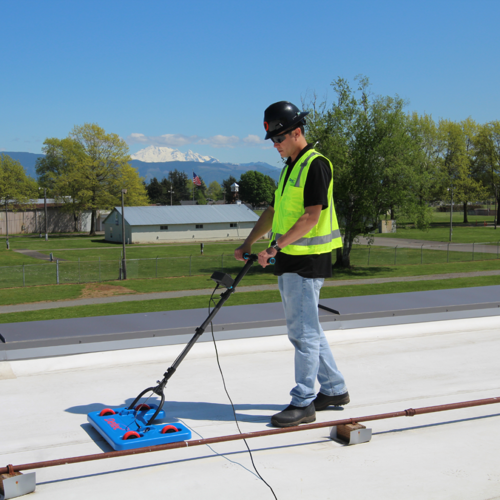 Roof moisture scan